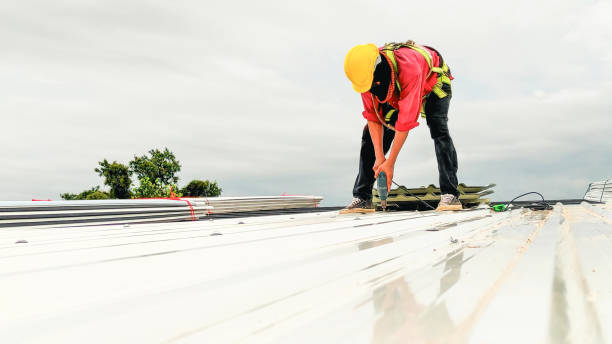 Best Solar Panel Roofing Installation  in Knik Fairview, AK